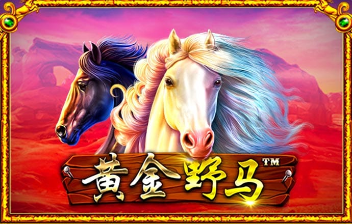 大发657cc彩票官方